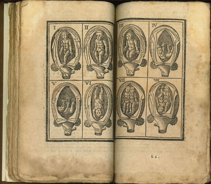 2. Jane Sharp 1724 illus