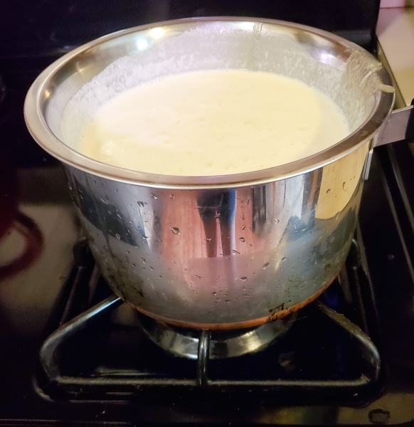 Ingredients in pot over boiling water on a stove.