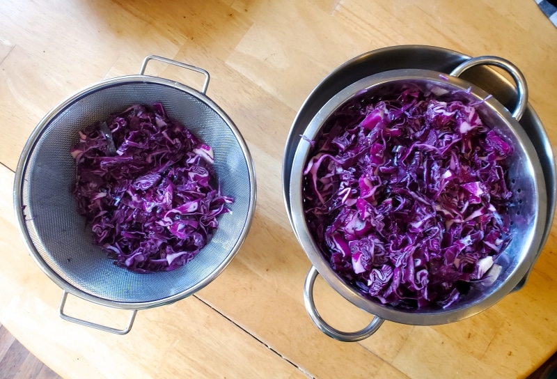 Draining the shredded and salted cabbage after letting sit overnight