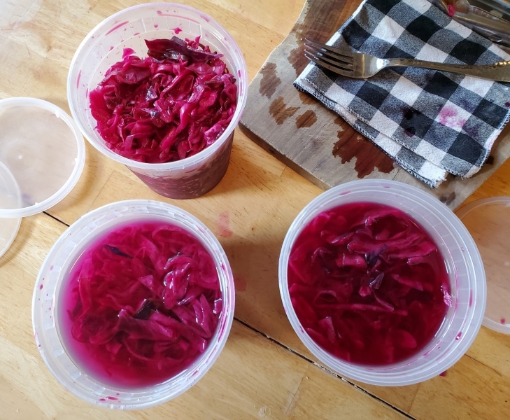 Separating the pickling cabbage into containers for a pickling experiment
