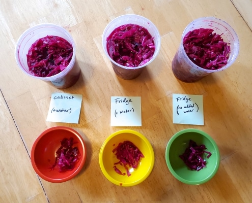 Three containers of pickled cabbage left in different environments, the results of a pickling experiment