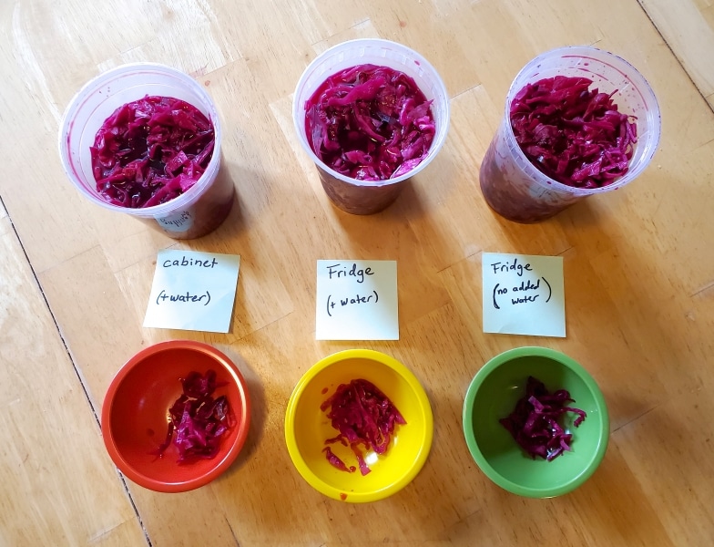 Three containers of pickled cabbage left in different environments, the results of a pickling experiment