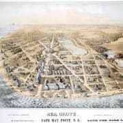 Bird's eye view of Cape May showing lots of land, buildings, trees, and ponds.