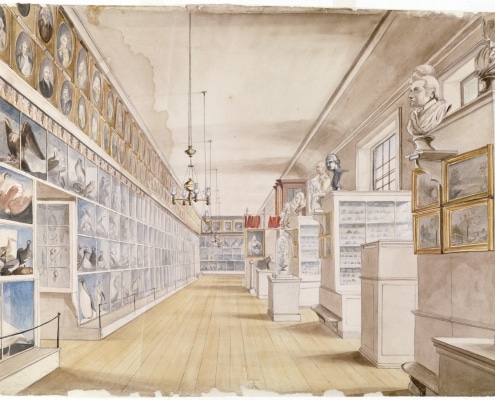 Charles Willson Peale and Titian Ramsay Peale, View of Peale’s Museum in the Long Room, Second Floor of the State House (Independence Hall), 1822, Detroit Institute of Arts, Founders Society Purchase, Director’s Discretionary Fund