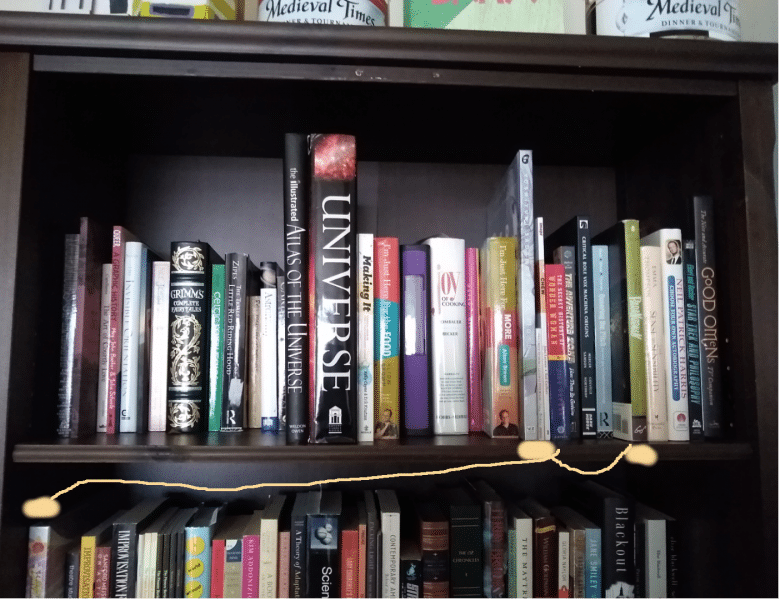 Detail of cataloger Em Ricciardi's book shelf arranged with the Dewey system showing three art books separated by the method