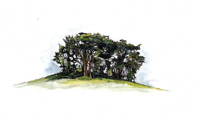 Illustration from Ghost River