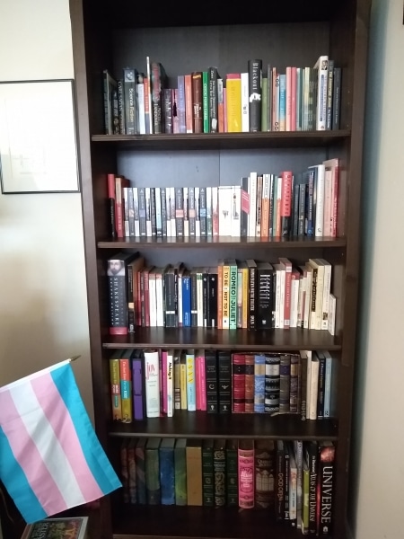 LCP Cataloger Em Ricciardi's book shelf arranged with their own "SystEm" method