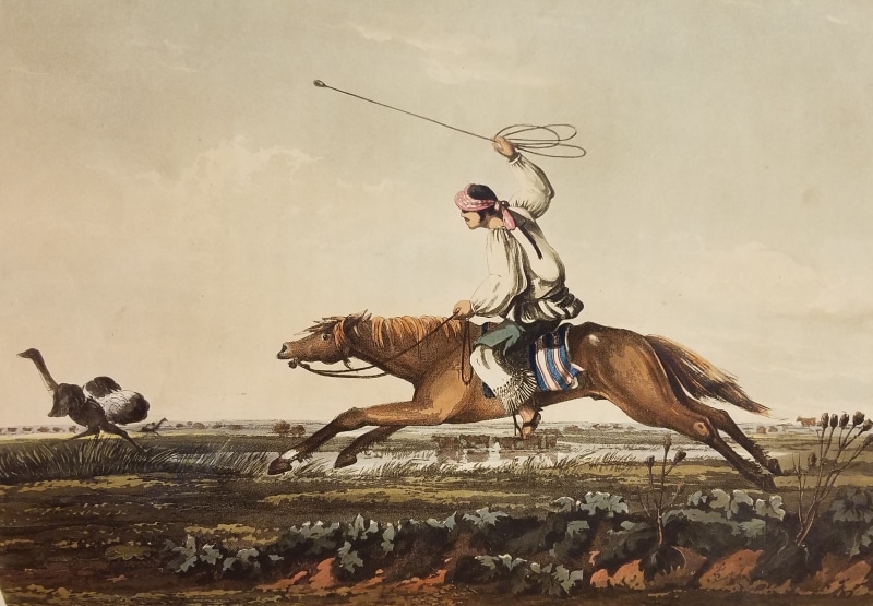 Man hunting a bird on horseback from Vidal, Emeric. Picturesque Illustrations of Buenos Ayres and Monte Video. London: R. Ackermann, 101 Strand, 1820. Balling Ostriches. Pampa Indians.