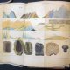Hand-colored plate. Lectures, v. 2.