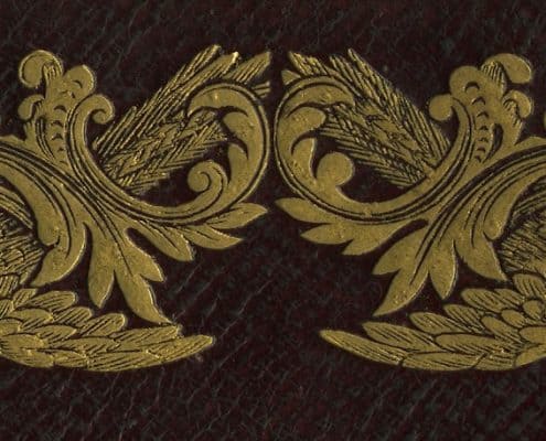 Detail of gilt birds from book cover.