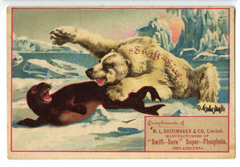 berman-p-2015-56-555