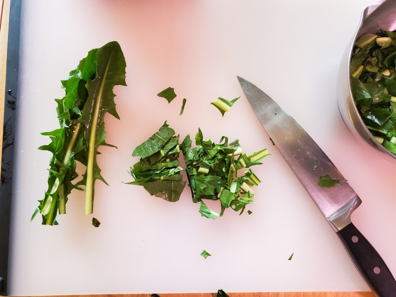 Chopping dandelion greens