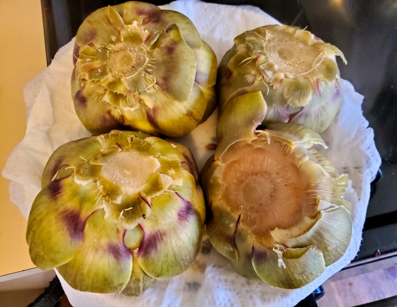 Draining the artichokes
