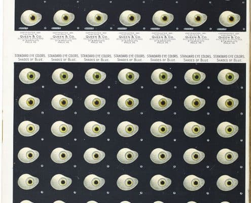 Queen & Co. Standard Eye Colors (Philadelphia: Queen & Co., 1891). Chromolithograph.