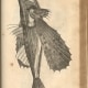 Illustration from Willughby, Francis. De Historia Piscium Libri Quatuor. Oxford: Sheldonian Theatre, 1686.
