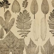 Link to Exhibit, Celebrating 40 Years: The Print & Photograph Department, 1971-2011