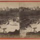 R. Newell & Son, “Herod’s Palace and Towers,” No. 6 in Cyclorama of Jerusalem and the Crucifixion. Broad and Cherry Sts., Philadelphia. Albumen print on stereograph mount. Recto.